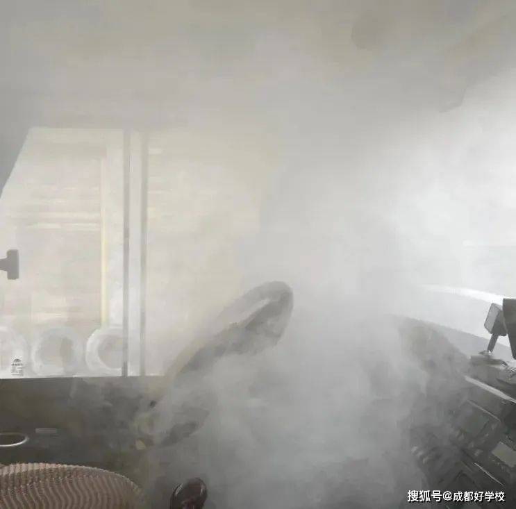 遇事不慌，聽從指揮！柏林陽光幼兒園校車安全演練，為愛護(hù)航！