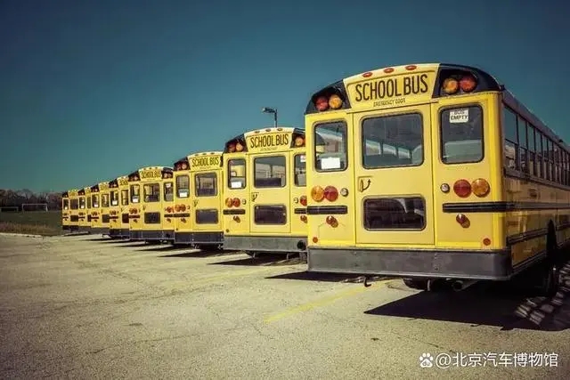 「安全教育日」安全“童”行，快來get√校車安全知識(shí)