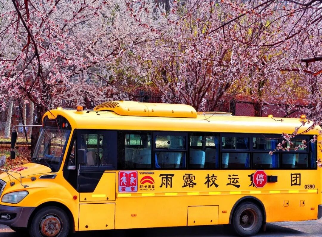秋季校車(chē)安全特輯：秋色雖美，安全不怠//陽(yáng)光雨露校車(chē)筑起秋季安全防線