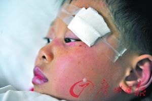 貨車“咬”校車 40師生受傷(組圖) 貨車“咬”校車 40師生受傷(組圖)