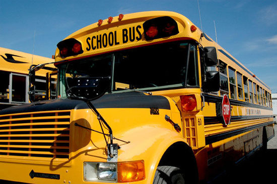 美國校車是最安全、最有特權(quán)的公車（組圖）