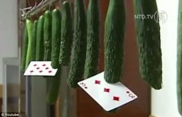 民間自有高人在 南京校車司機苦練十載終修成小葉飛牌