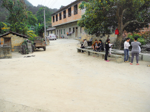 事故發(fā)生在大樹旁邊的下車點(diǎn)，這里離平平的家只有二三十米。