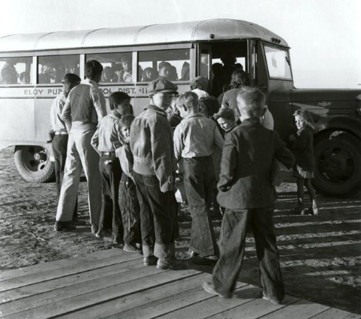 美國校車為什么都是“暖黃色”？