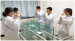 房車環(huán)保避坑指南，帶你漲知識啦！