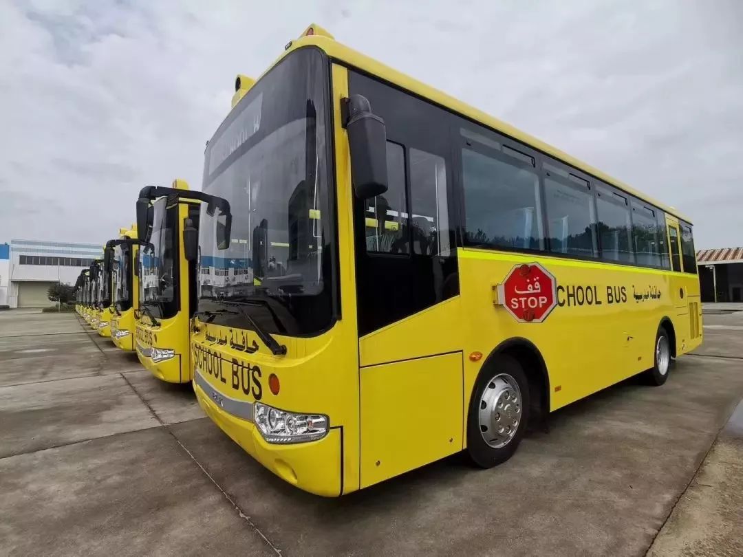 中國恒天·百路佳|迪拜校車恒天造 除了顏值還有科技與個性！