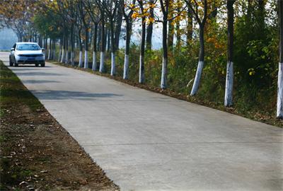 改善校車行駛路況，江蘇高郵實施農(nóng)村公路提檔升級工程