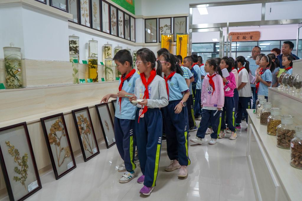 “雙減”后，一輛校車的“田野”之旅