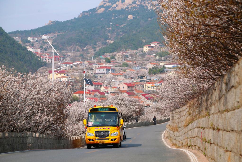 “大鼻子”校車開進嶗山9年了，護航山區(qū)孩子上學路