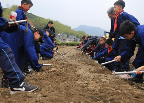雙減下 諸暨這所學(xué)校開啟“神奇校車之旅” 雙減下 諸暨這所學(xué)校開啟“神奇校車之旅”