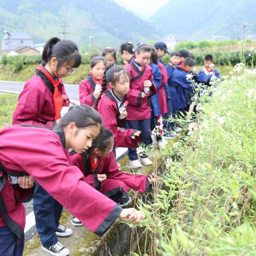 雙減下 諸暨這所學(xué)校開啟“神奇校車之旅” 雙減下 諸暨這所學(xué)校開啟“神奇校車之旅”