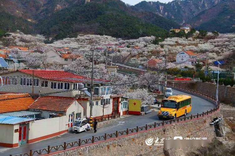 全國(guó)首個(gè)校車運(yùn)營(yíng)服務(wù)管理團(tuán)體標(biāo)準(zhǔn)正式發(fā)布