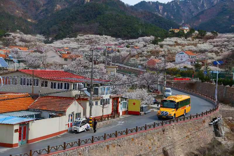 青島給全國立標準！全國首個校車運營服務(wù)管理團體標準正式發(fā)布