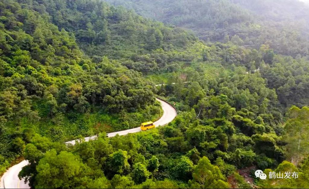滴！滴！滴！古勞茶山村校車專線開通！