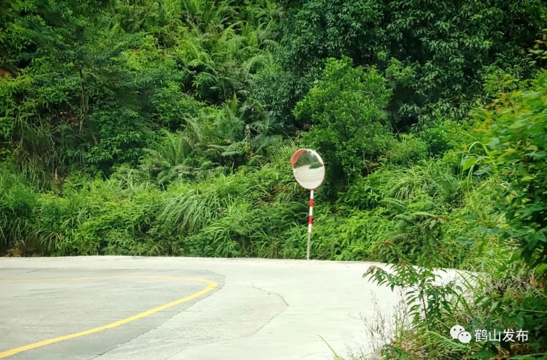 滴！滴！滴！古勞茶山村校車專線開通！