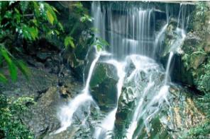 全國疫情慢慢退去，大量民辦幼兒園或迎來“至暗時(shí)刻”