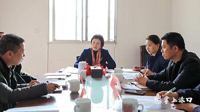 賴曉智主持召開校車安全整改調(diào)度會/ 賴曉智主持召開校車安全整改調(diào)度會