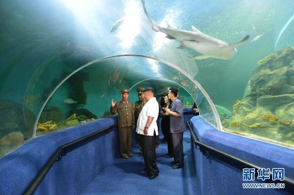 韓媒：金正日母校校車(chē)墜谷致逾50死 多名高干子女罹難