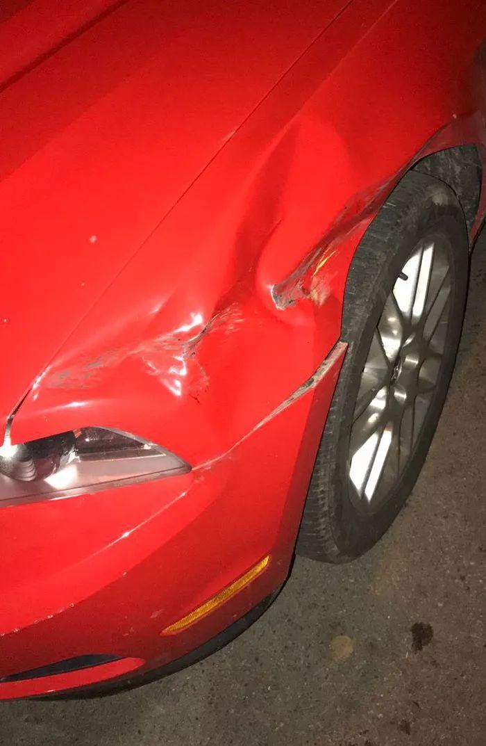 校車肇事逃逸，卻萬萬沒想到被這個(gè)人檢舉了