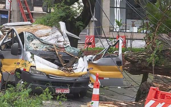 烏拉圭:米納斯一校車被樹(shù)砸中 司機(jī)死前叫喊救孩子 米納斯一校車被樹(shù)砸中 司機(jī)死前叫喊救孩子