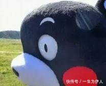 專(zhuān)車(chē)接送！咱肥東這38所學(xué)校已經(jīng)開(kāi)通校車(chē)?yán)?，有你家附近的嗎? border=