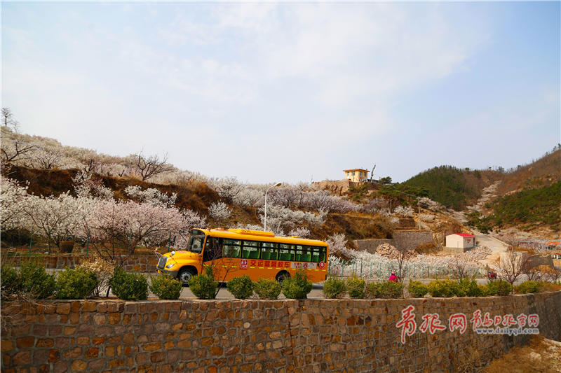 青島農(nóng)村校車開通7年 “大鼻子”載著山里娃追夢