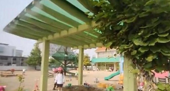 日本幼兒園的一日生活：每天校車接送，兩次戶外活動，無午睡時(shí)間