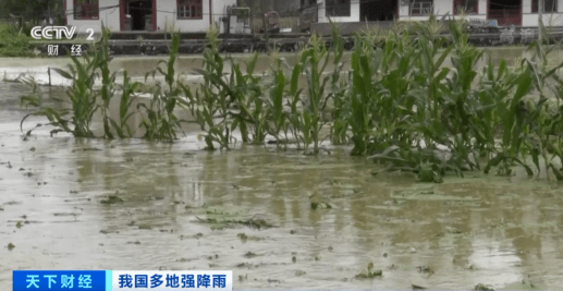 緊急！緊急！84條河流現(xiàn)超警洪水！上萬畝農(nóng)田被淹，校車陷1米深積水…