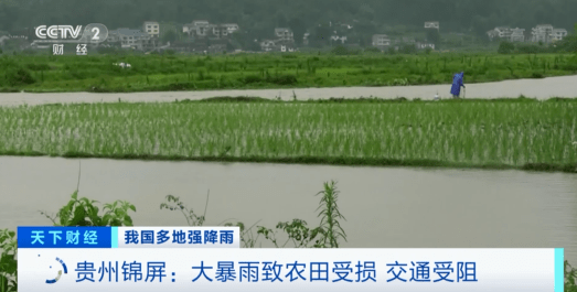 緊急！緊急！84條河流現(xiàn)超警洪水！上萬畝農(nóng)田被淹，校車陷1米深積水…