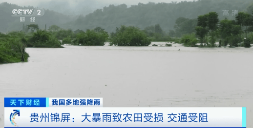 緊急！緊急！84條河流現(xiàn)超警洪水！上萬畝農(nóng)田被淹，校車陷1米深積水…