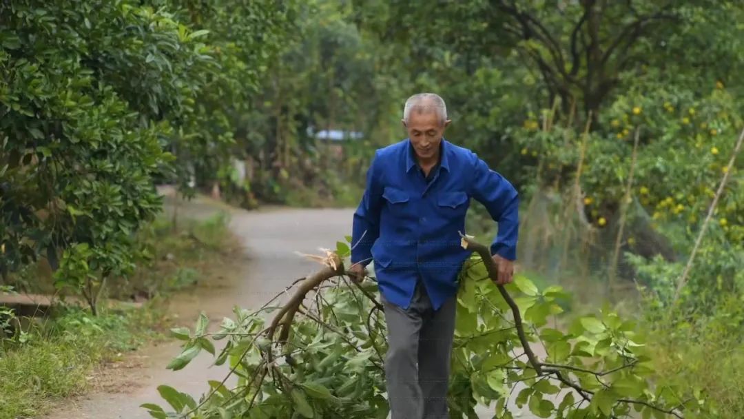 四川廣安引進(jìn)46輛校車“解決農(nóng)村幼兒入園乘車難”問題 四川廣安引進(jìn)46輛校車“解決農(nóng)村幼兒入園乘車難”問題