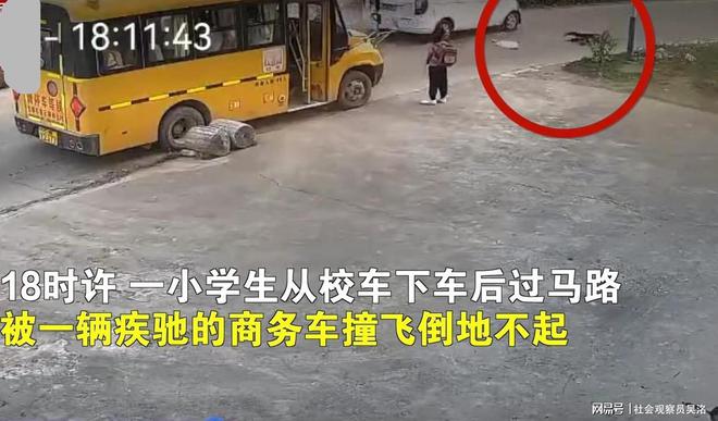 小學(xué)生下校車被后車撞飛 校車司機(jī)未查看傷者情況駕車離開惹爭議
