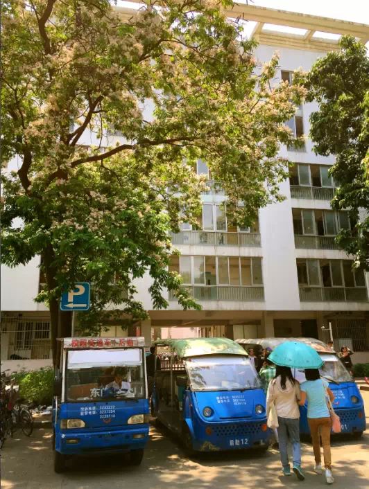 帶你揭開西大校車的神秘面紗/ 帶你揭開西大校車的神秘面紗