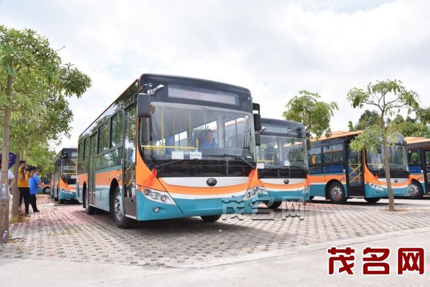 廣東茂名電白區(qū)即將開(kāi)通水東城區(qū)學(xué)校21條專(zhuān)線校車(chē)