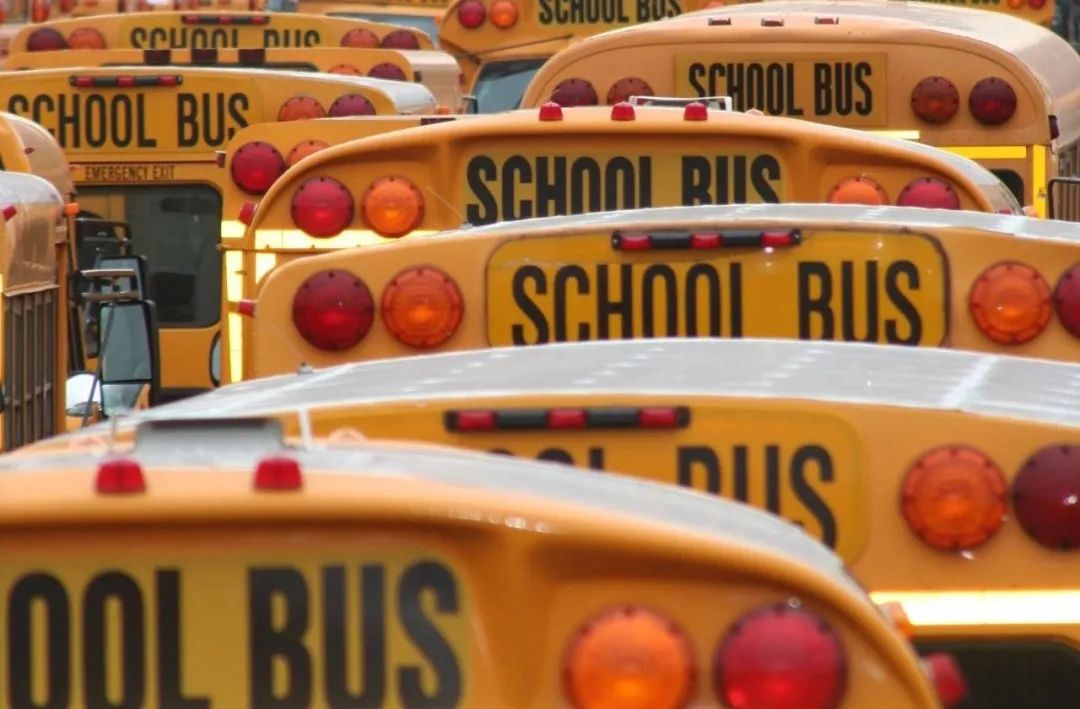 【知識分享】校車是營運(yùn)車還是非營運(yùn)車 圖片