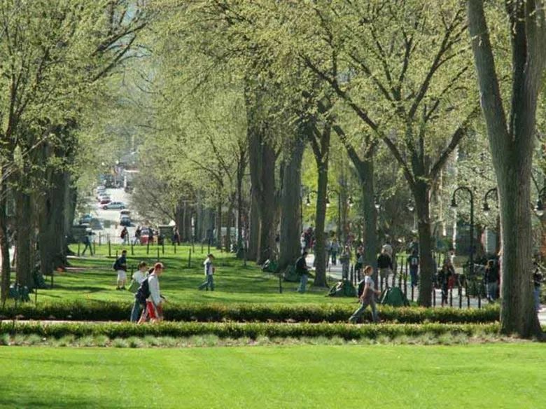 美國校車故事-究竟是誰高“車”一等? 美國校車故事-究竟是誰高“車”一等?