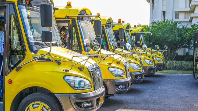 校車司機(jī)毛發(fā)檢測/ 校車司機(jī)毛發(fā)檢測