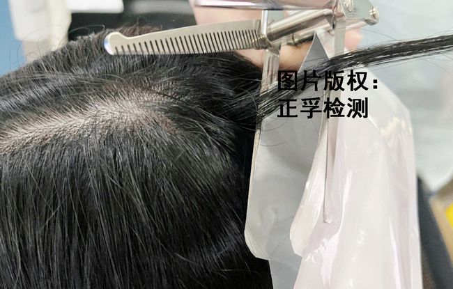 校車司機(jī)毛發(fā)檢測/ 校車司機(jī)毛發(fā)檢測