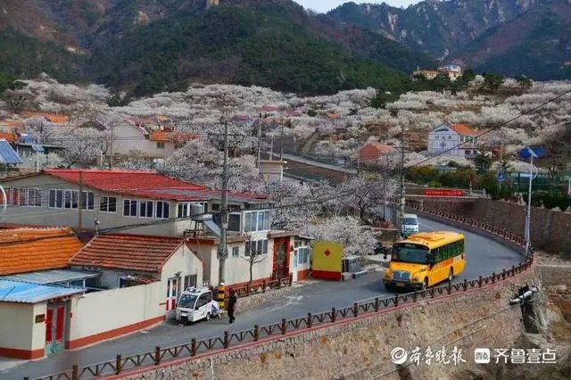 溫馨校車亮十年成績(jī)單：累計(jì)發(fā)送1210萬(wàn)車次、2.7億人次